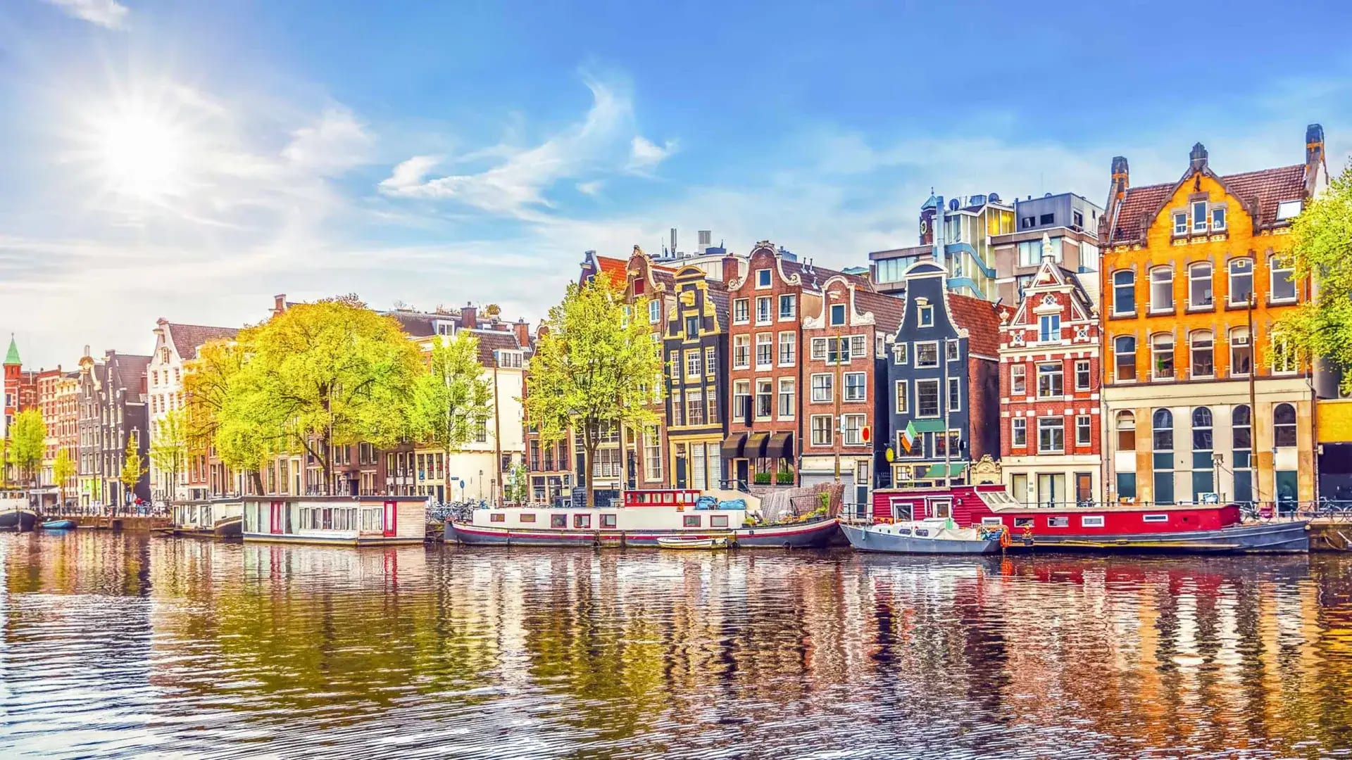 Jardins Amsterdã, imagem 10