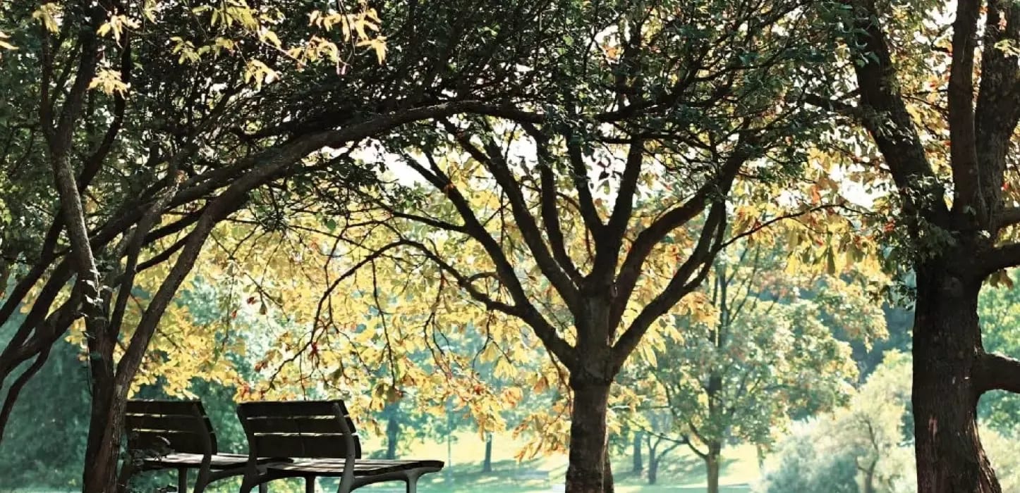 Jardins Barcelona, imagem 12