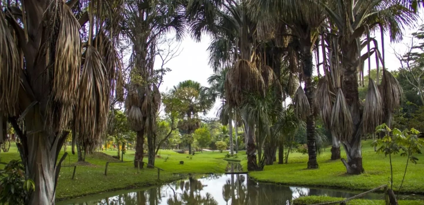 Jardins Florença, imagem 3
