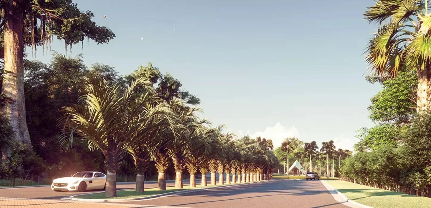 Jardins França, imagem 10