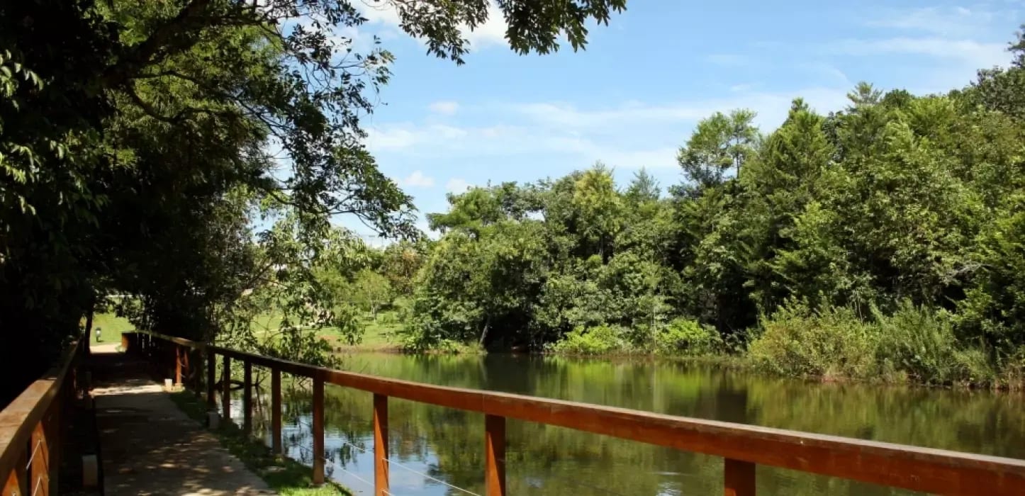 Jardins Marselha, imagem 2