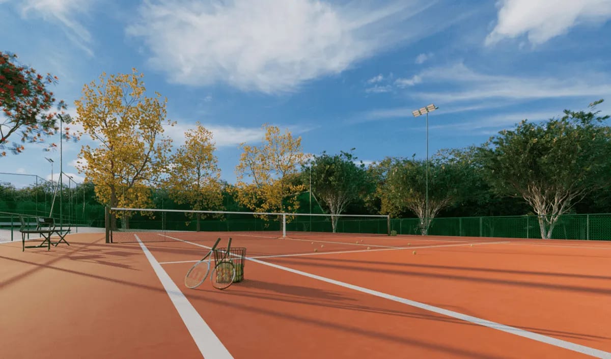 Jardins Miami, imagem 5
