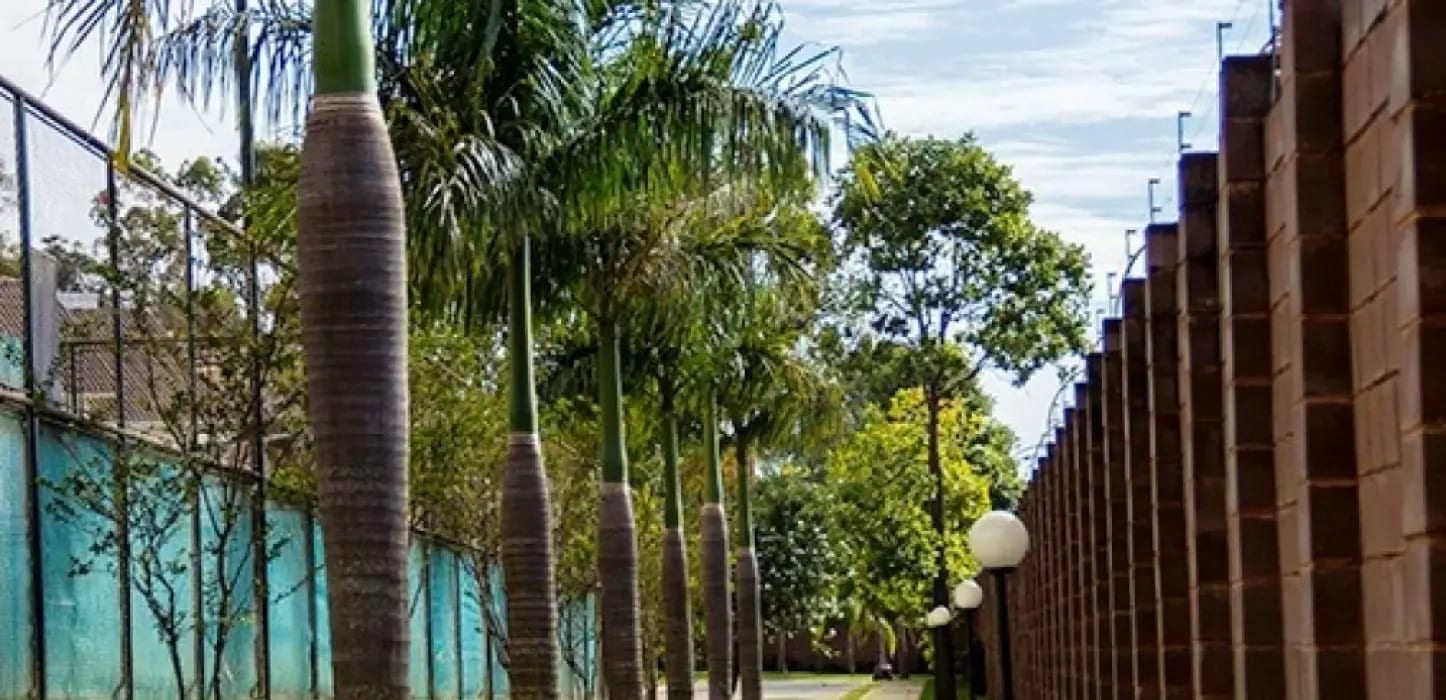 Jardins Mônaco, imagem 5